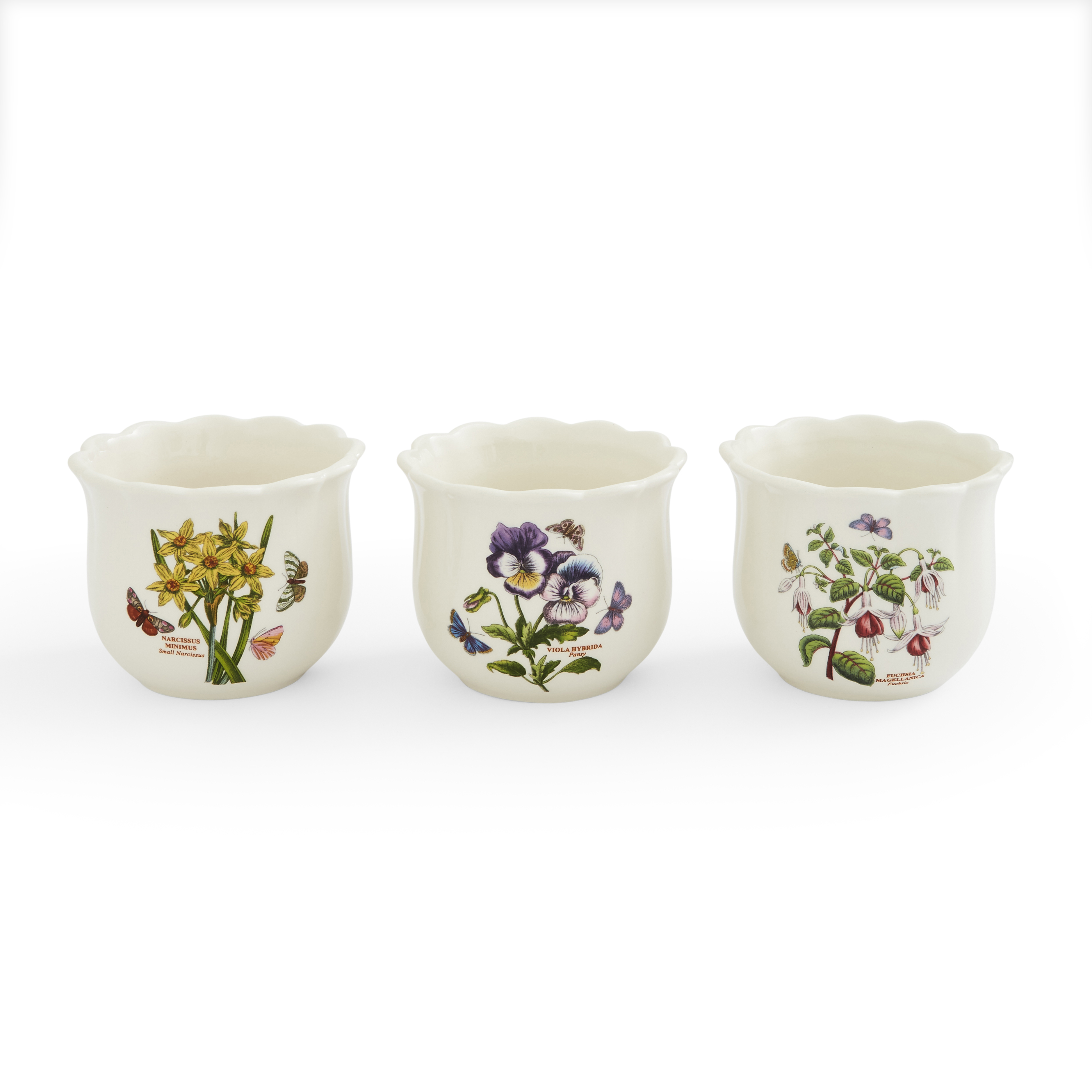 Botanic Garden Bouquet 4 Piece Herb Pot Set image number null